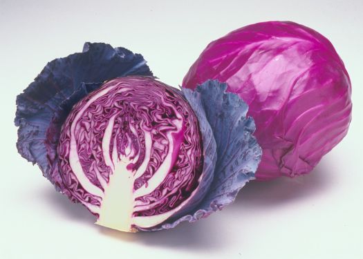 Vietnamese High-Quality Whole-Sale Fresh Purple Cabbage